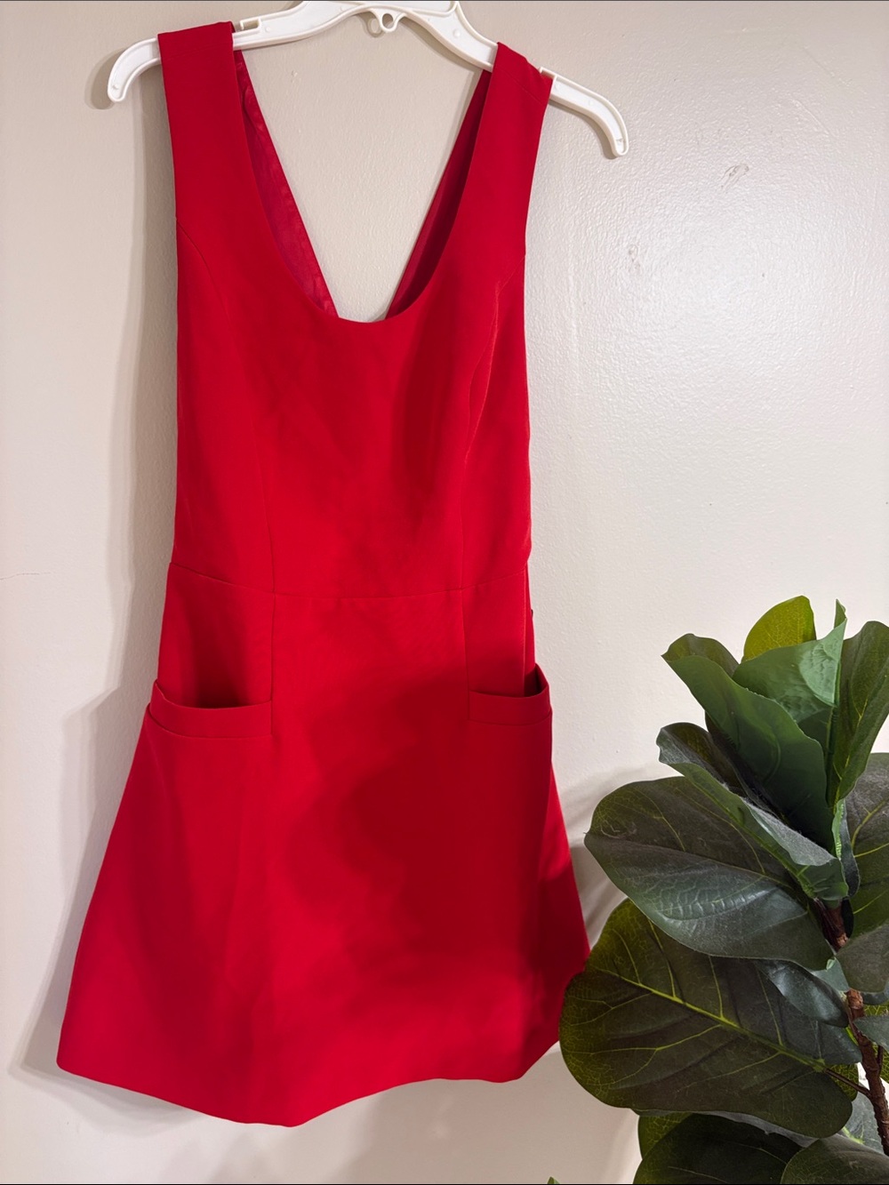 Express Red Sleeveless Mini Dress with Pockets